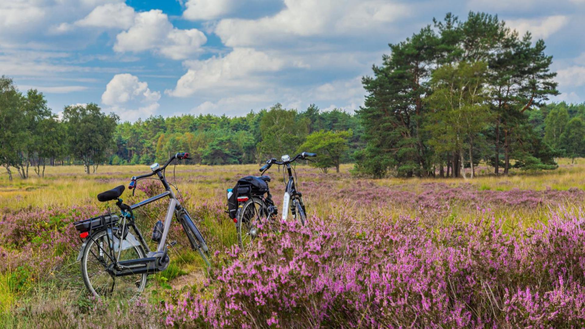 B&B Catharinenburg Golf & Wellness Melissant Eksteriør bilde