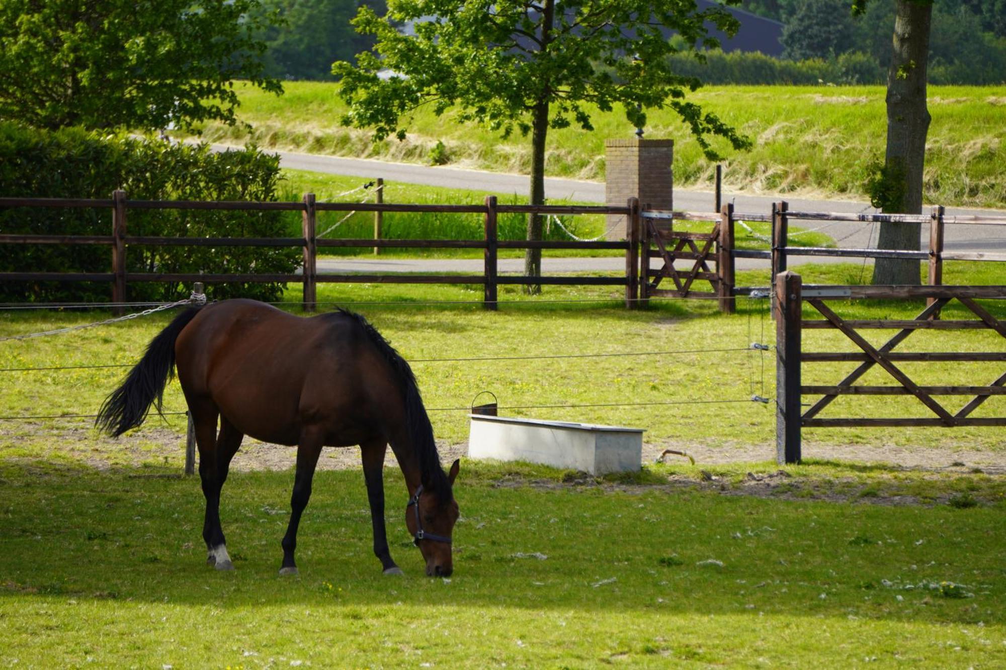B&B Catharinenburg Golf & Wellness Melissant Eksteriør bilde